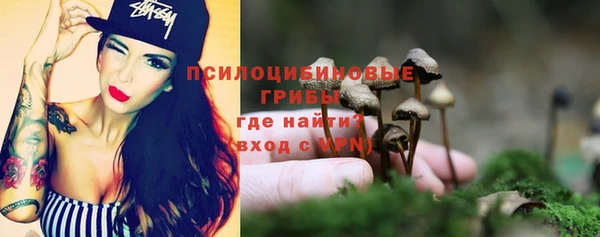 Альфа ПВП Армянск