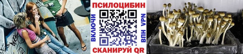 Псилоцибиновые грибы ЛСД  Бирюч 